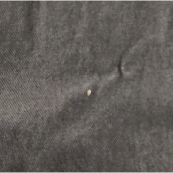 DL1961 Jeans Mens 33x31 Teak Brown Avery Modern Straight Denim - Picture 7 of 12